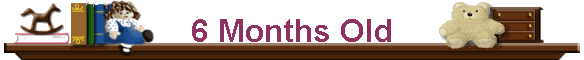 6 Months Old